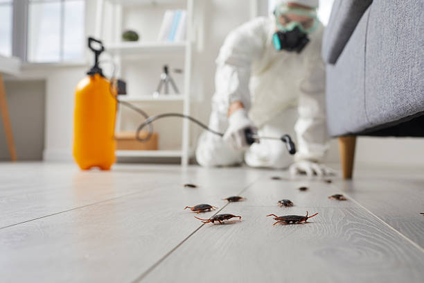 Commercial Kitchen Cockroach Control in New Rochelle